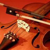Violin